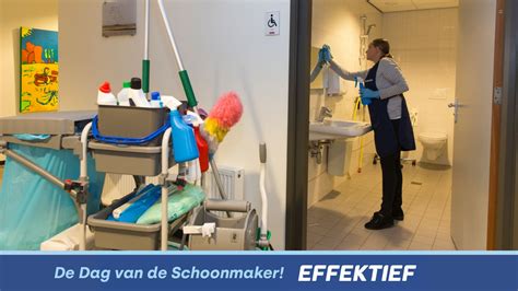  Agelas! Eenspontige schoonmaker van de zeebodem 